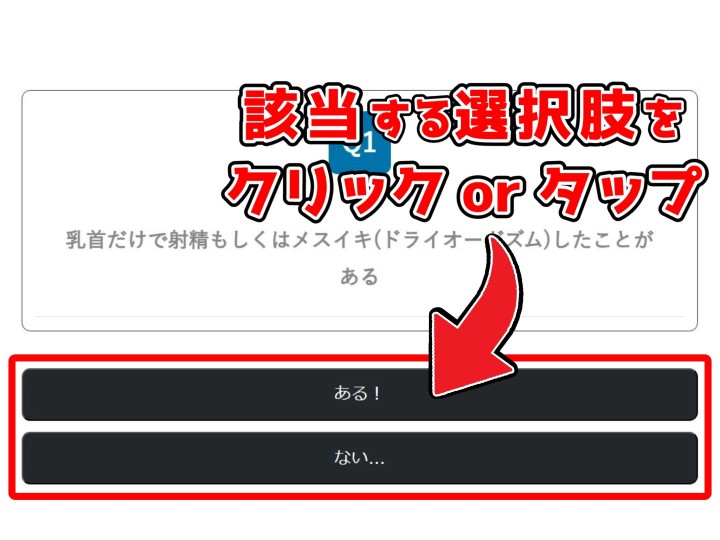 設問に該当する選択肢をクリックorタップ - チクニー診断(仮)の進め方 -